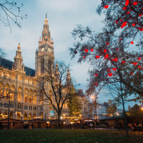 Österreich Wien Weihnachtsmarkt Wiener Rathaus