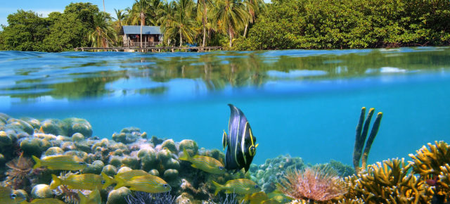 Urlaub in Panama: Die besten Reisetipps im Überblick