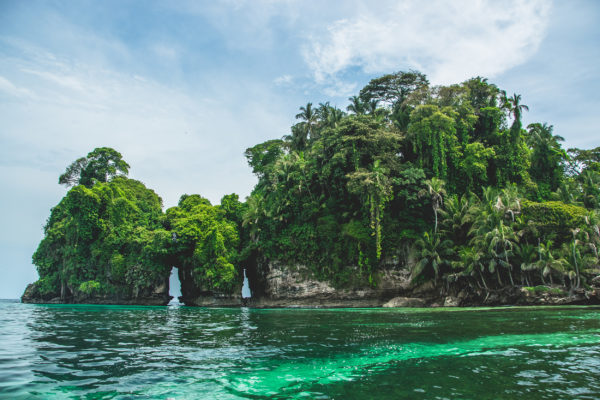 Panama Bocas del Toro Vogelinsel