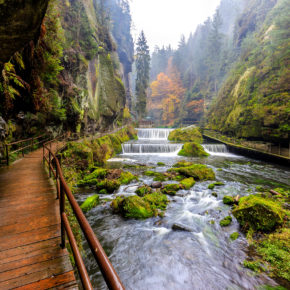 Deutschland: Die Top 10 der schönsten Nationalparks