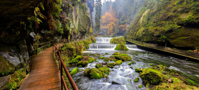 Deutschland: Die Top 10 der schönsten Nationalparks