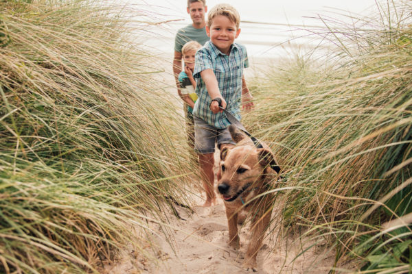 Sylt Familie Hund