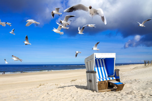 Sylt Strandhaus Möwen