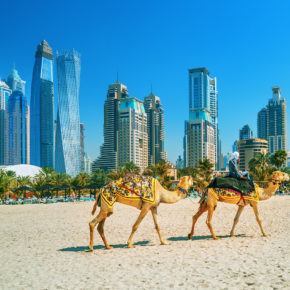 TOP 5* Hotel mit Rooftop-Pool: 7 Tage Dubai mit Frühstück, Flug & Transfer für 490€