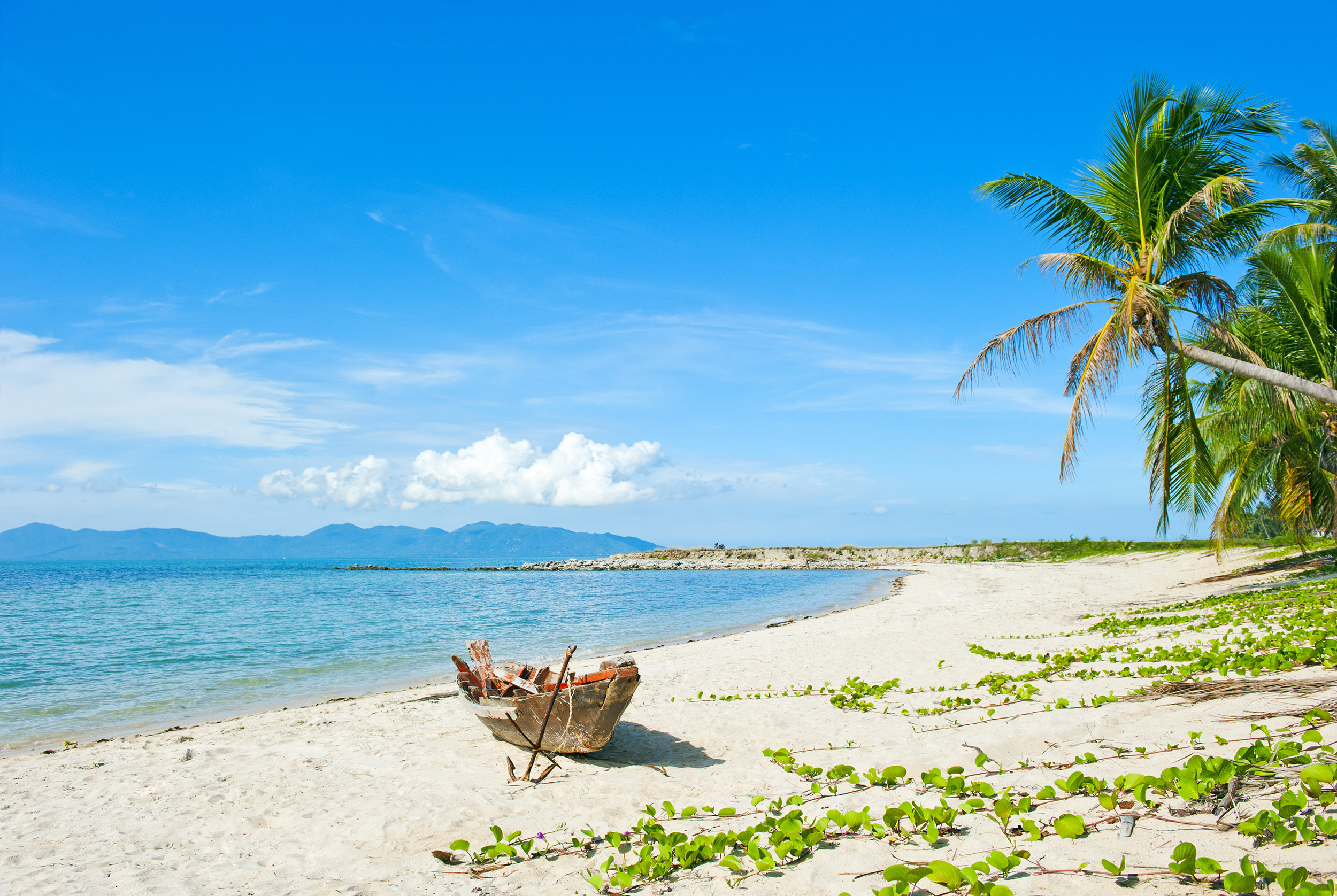 Vietnam