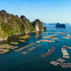 Vietnam Halong Bucht Schwimmendes Dorf