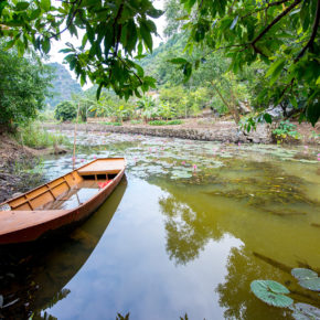 Vietnam Phuong Nationalpark