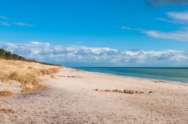 Dänemark Falster Marielyst Strand