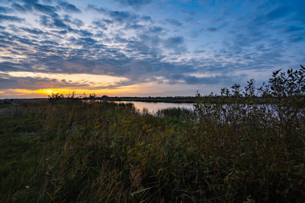 Dänemark Skjern A Nationalpark