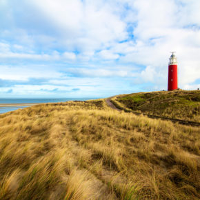 Texel Tipps für die größte Nordseeinsel Hollands: Sehenswürdigkeiten & Aktivitäten