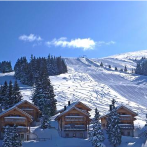 Langes Wochenende: 4 Tage im Skigebiet in Österreich in eigenem Holzchalet nur 70€