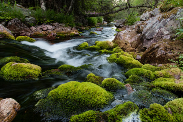 Schweden Fulufjaellet Nationalpark