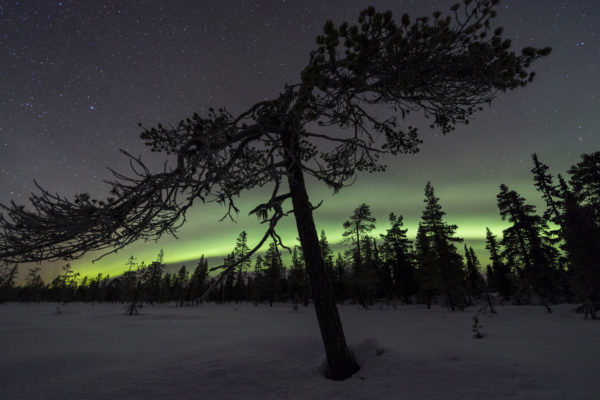 Schweden Muddus Nationalpark