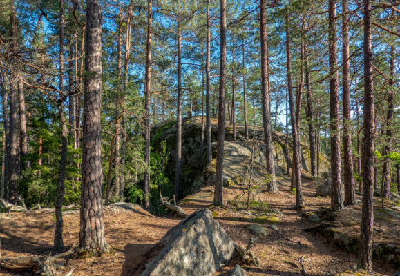 Schweden Tiveden Nationalpark