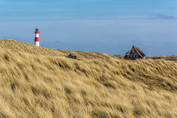 Deutschland Sylt Ellenbogen