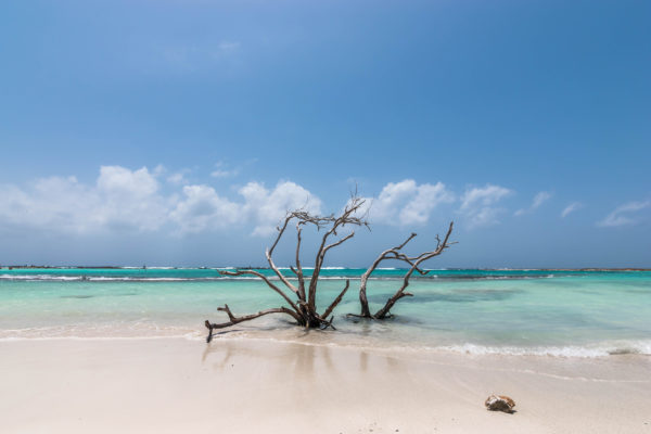 Aruba Baby Beach