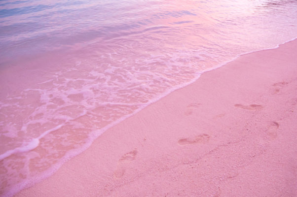 bahamas pink sands beach