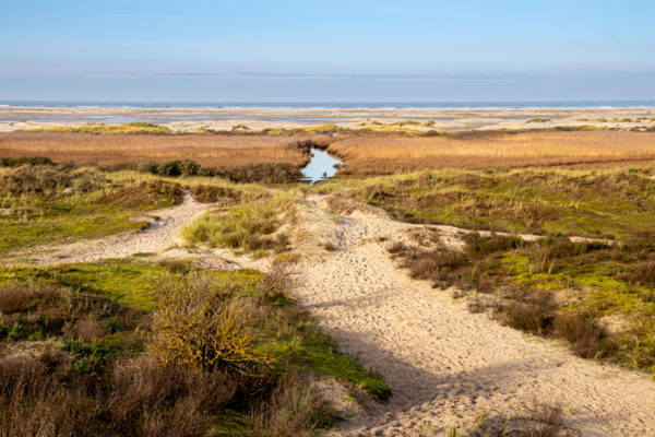 Deutschland Borkum Düne