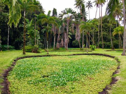 Tahiti Botanischer Garten