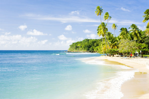 Tobago Mount Irvine Bay