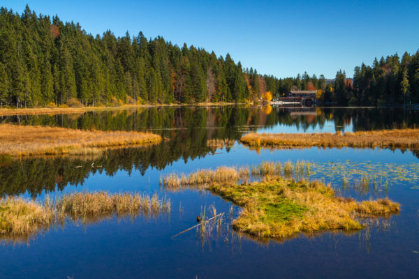 Bayerischer Wald Großer Arbersee