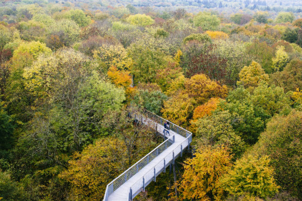 Deutschland Hainich Nationalpark