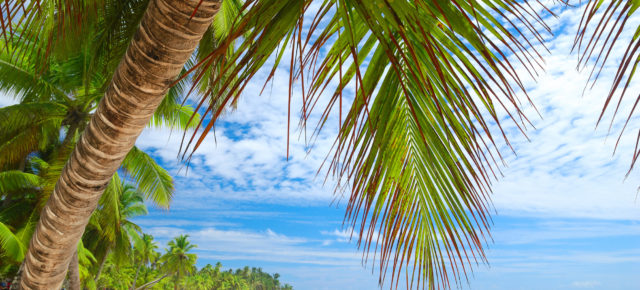 Wunderschöne Dom Rep: 13 Tage ins 4* Hotel mit Frühstück und Flug für NUR 939€