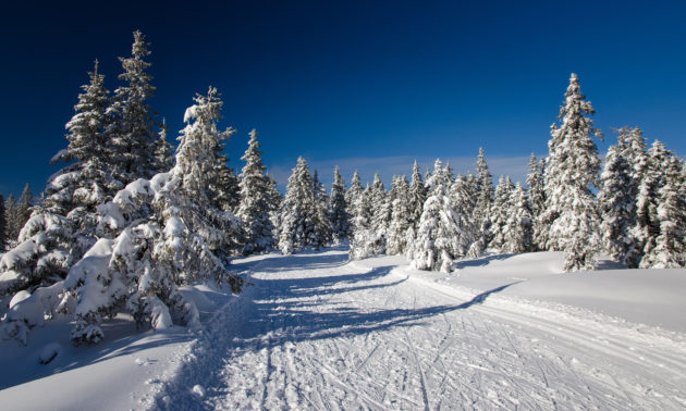 Slowenien Skigebiet Rogla