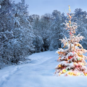 Weihnachten in Schweden: Diese Bräuche & Traditionen gehören zum schwedischen Fest