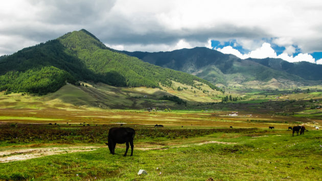 Bhutan Phobjikha Tal