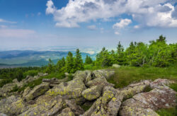 Wellness-Auszeit im Harz: 3 Tage im 4* Wellness-Hotel mit Halbpension nur 169€