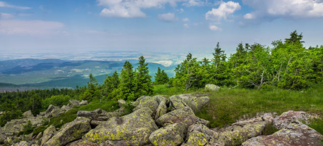 Wellness-Auszeit im Harz: 3 Tage im 4* Wellness-Hotel mit Halbpension nur 179€