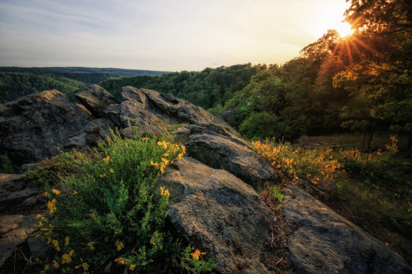 Deutschland Harz Berge Sonnenuntergang