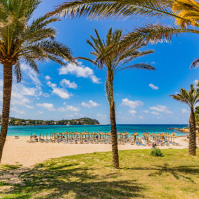Sonne tanken auf Mallorca: 8 Tage mit TOP Apartment & Flug nur 110 €