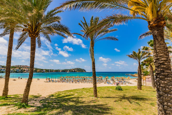 Mallorca Santa Ponsa Strand Palmen Sonnenschirme