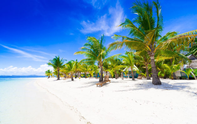 Philippinen Tropischer Strand Palmen