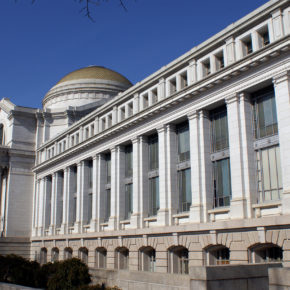 Das Nationale Naturkundemuseum in Washington virtuell erleben