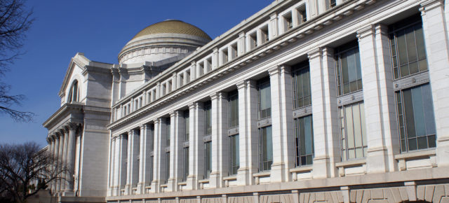 Das Nationale Naturkundemuseum in Washington virtuell erleben