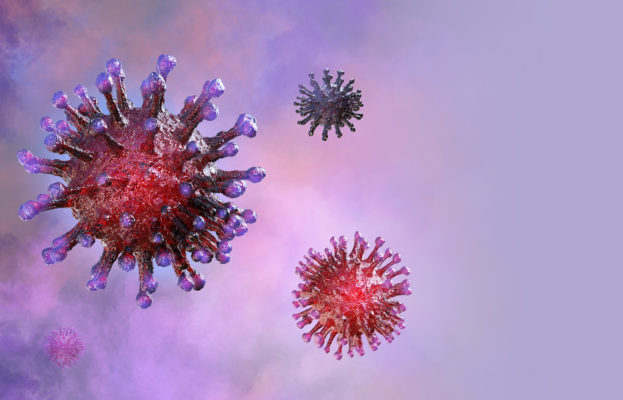 Virus Lila