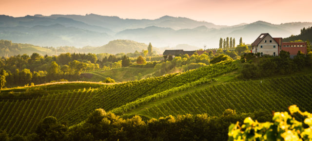 Österreich am Wochenende: 2 Tage Südsteiermark im TOP Kulinarium an der Weinstraße um 55 €