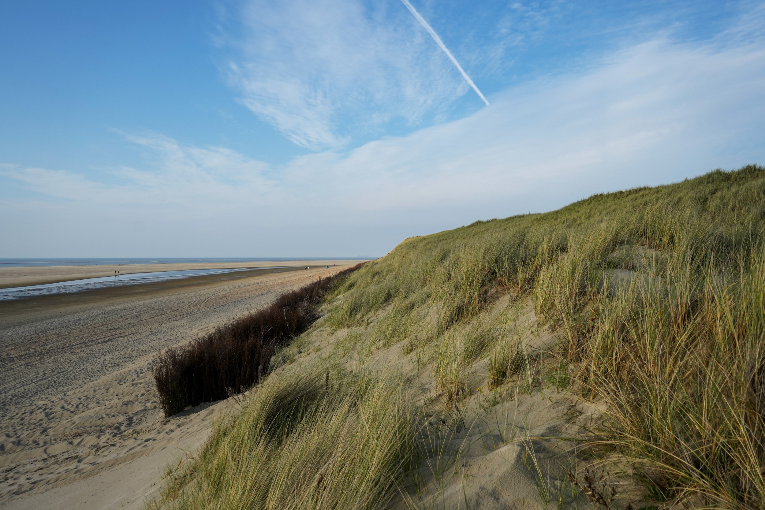 Deutschland Nordsee Spiekeroog