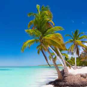 Ab in die Karibik: Hin- & zurück nach Martinique ab 70€