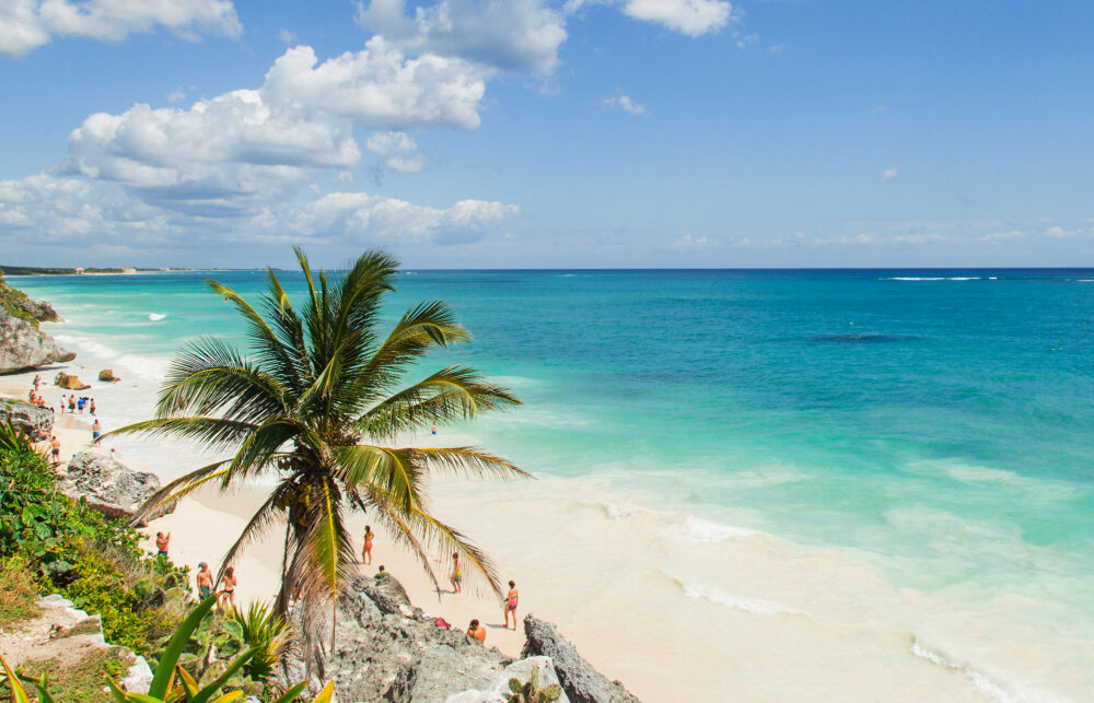 mexiko strand palme von oben