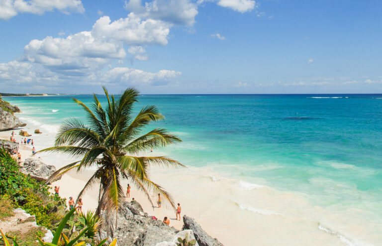 mexiko strand palme von oben