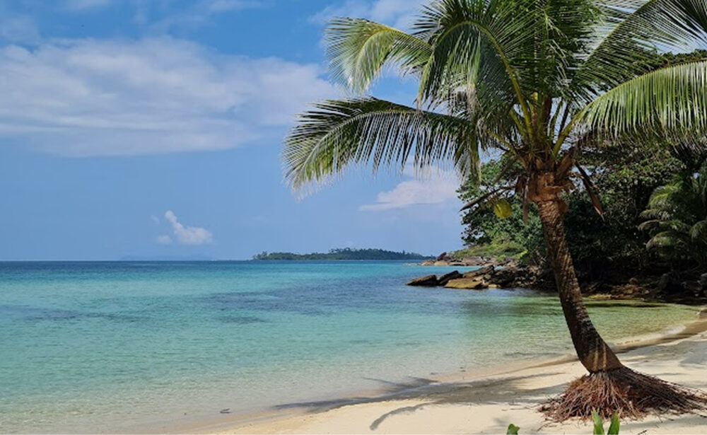 thailand traumstrand mit palme