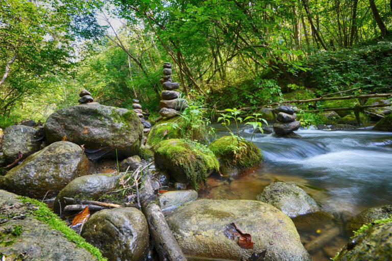 Urlaub im Bayerischen Wald: Die besten Sehenswürdigkeiten, Aktivitäten & Urlaubsorte