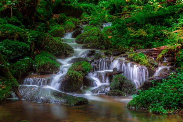 bayern sankt englmar wald wasserfall