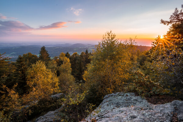 deutschland bayerischer wald