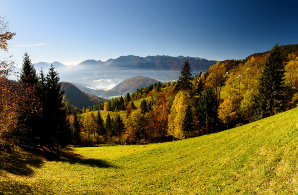 Slowenien Pokljuka Plateau