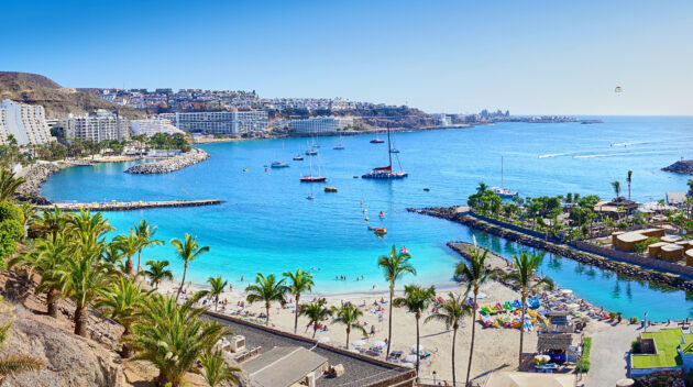 spanien gran canaria anfi beach palmen